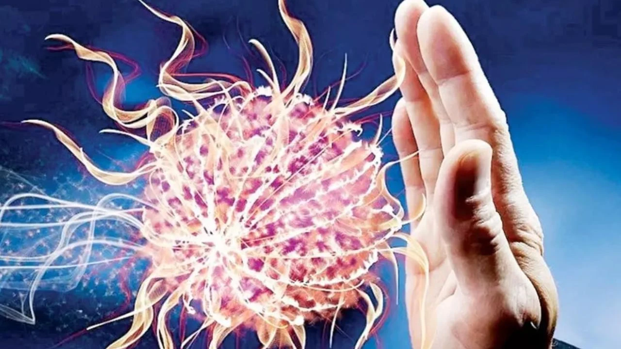 La bevanda naturale che rafforza il sistema immunitario. I medici: «Incredibile anche per la digestione» Immagine selezionata