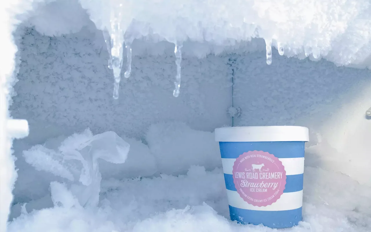 Come cambiano i comportamenti di acquisto con l’aumento dei prezzi: ecco perché sempre più persone scelgono il congelato