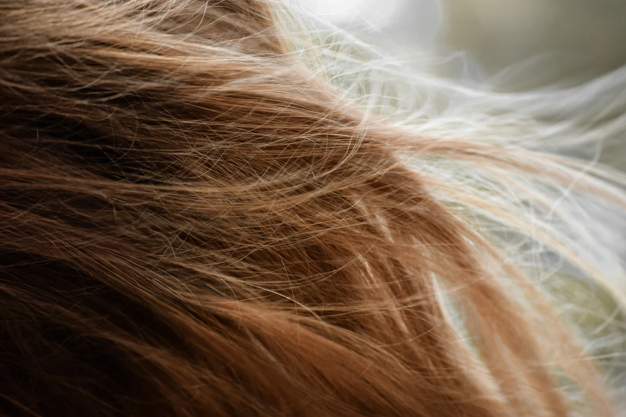 Addio capelli grigi: arriva la tinta fai-da-te che copre le imperfezioni e ravviva il colore Immagine selezionata