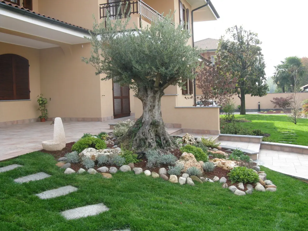 Sette arbusti perfetti da piantare ad aprile per rinnovare il giardino, ideali sia per aree secche che umide