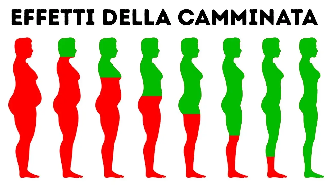 Vuoi dimagrire in modo facile? Ecco il ritmo di camminata che brucia davvero i grassi Immagine selezionata