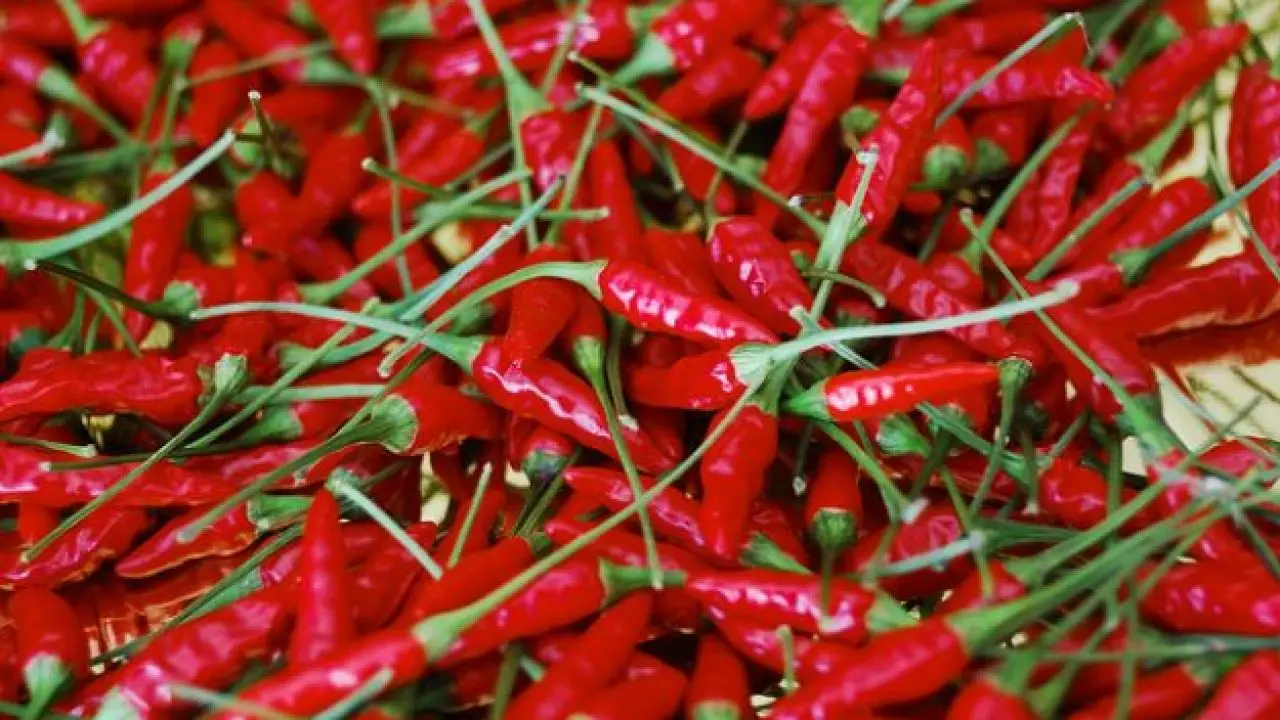 Aggiungi questo superfood a colazione: ti protegge il cuore e regola la glicemia! Immagine selezionata