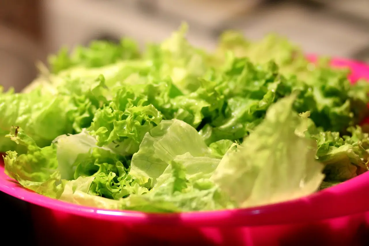 Allarme insalata: ecco quello che nessuno ti dice sui rischi nascosti nella lattuga Immagine selezionata