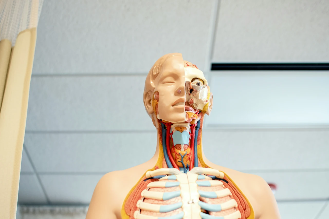 Una nuova scuola di medicina apre le porte al futuro della salute Immagine selezionata