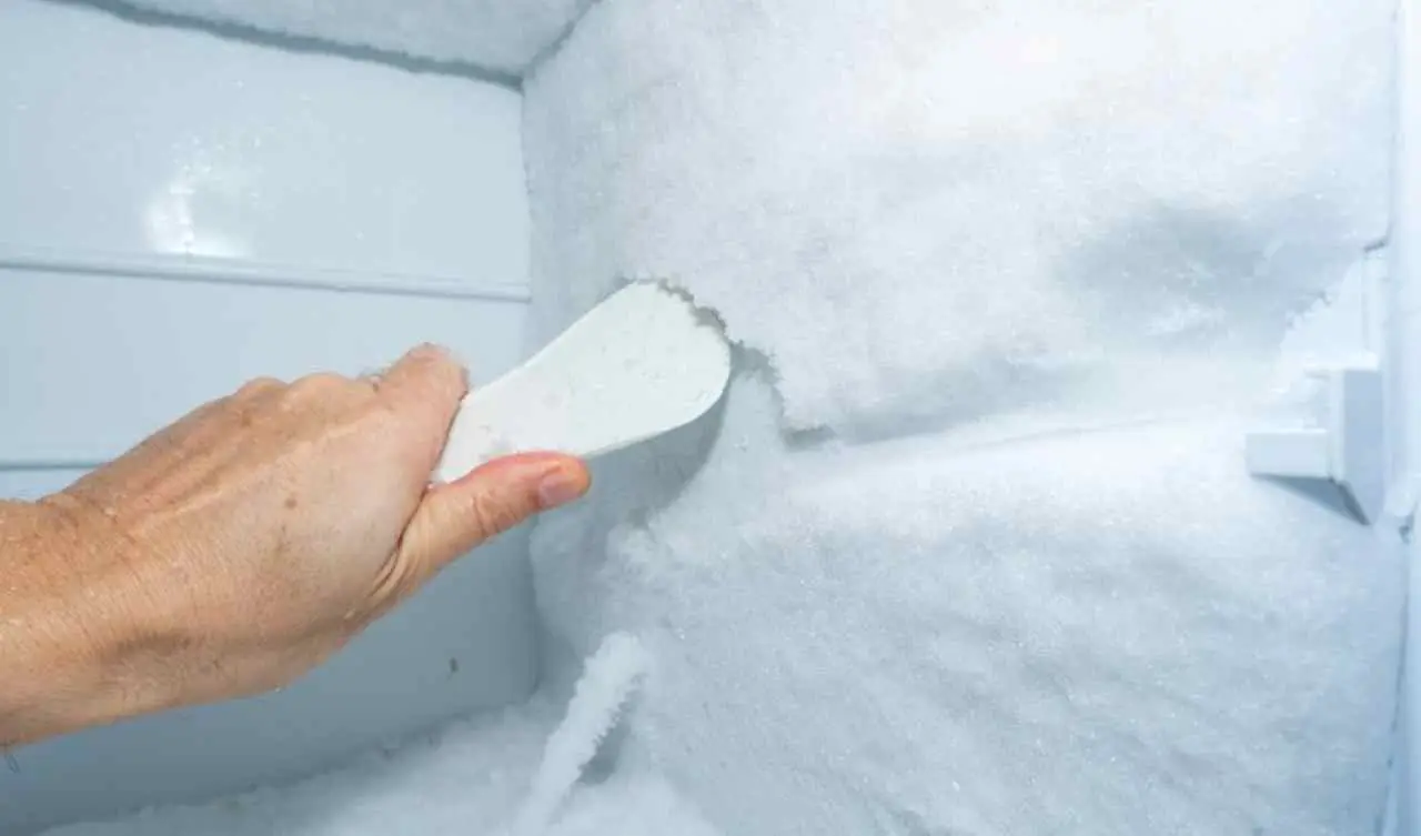 Metti una moneta nel freezer prima di partire: il trucco intelligente che può salvarti le vacanze Immagine selezionata
