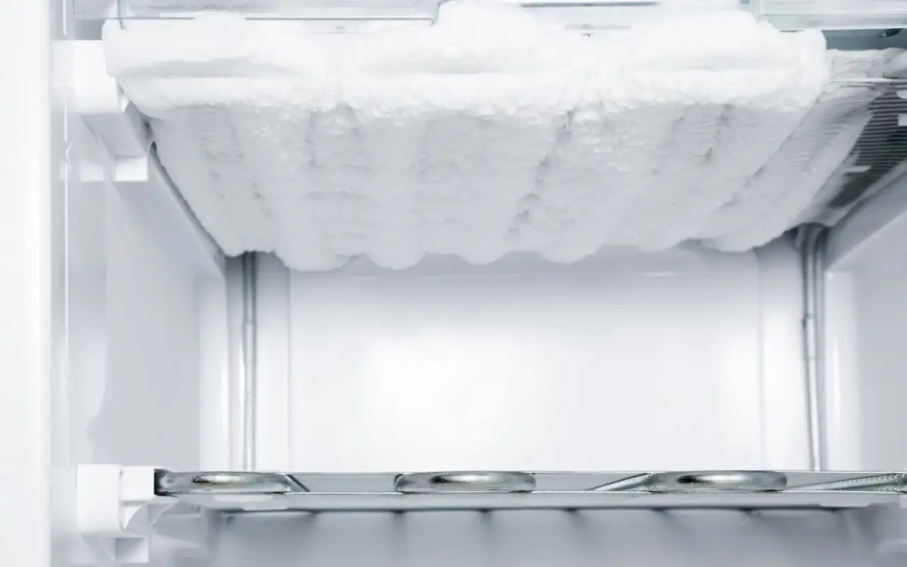 Metti una moneta nel freezer prima di partire: il trucco intelligente che può salvarti le vacanze Immagine selezionata