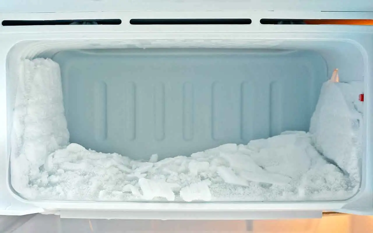Metti una moneta nel freezer prima di partire: il trucco intelligente che può salvarti le vacanze Immagine selezionata