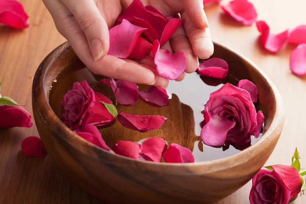 Vuoi una pelle giovane? Prova questi tre oli naturali per viso, collo e mani: risultati da sogno! Immagine selezionata