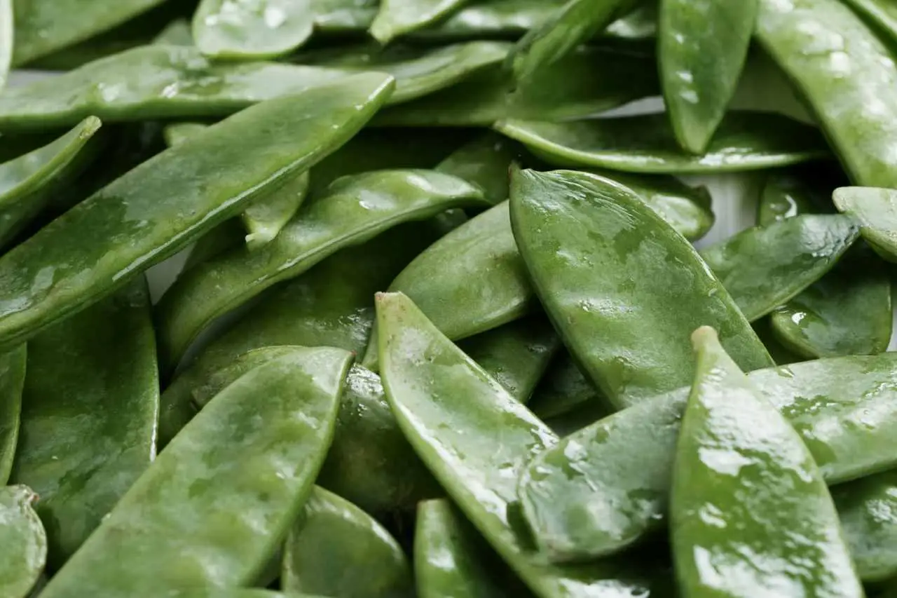 Taccole e concimazione: ecco come farle crescere vigorose