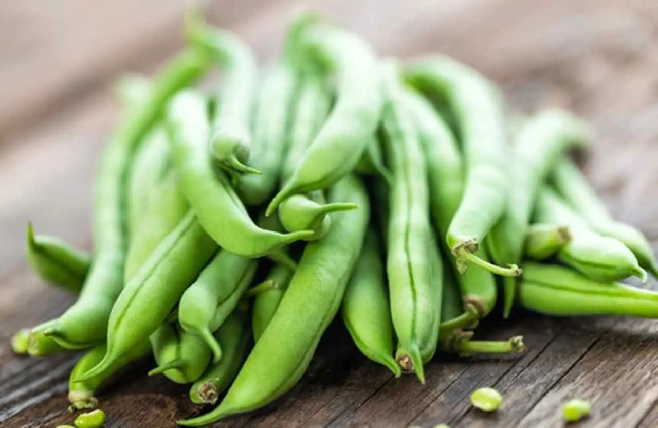 Taccole e concimazione: ecco come farle crescere vigorose Immagine selezionata