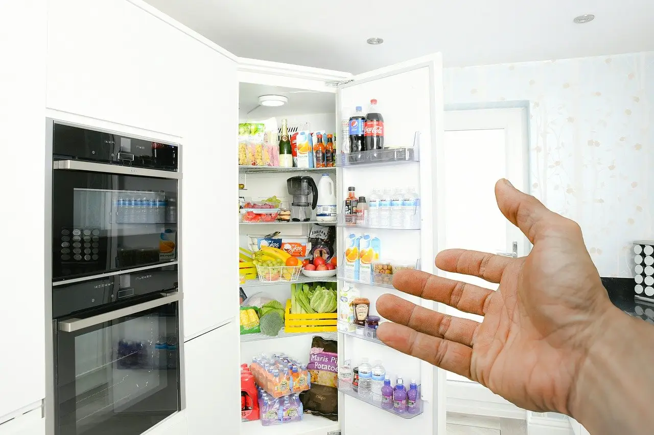 Tre giovani innovatori trasformano la vita domestica: ecco il frigo che non ha bisogno di elettricità Immagine selezionata