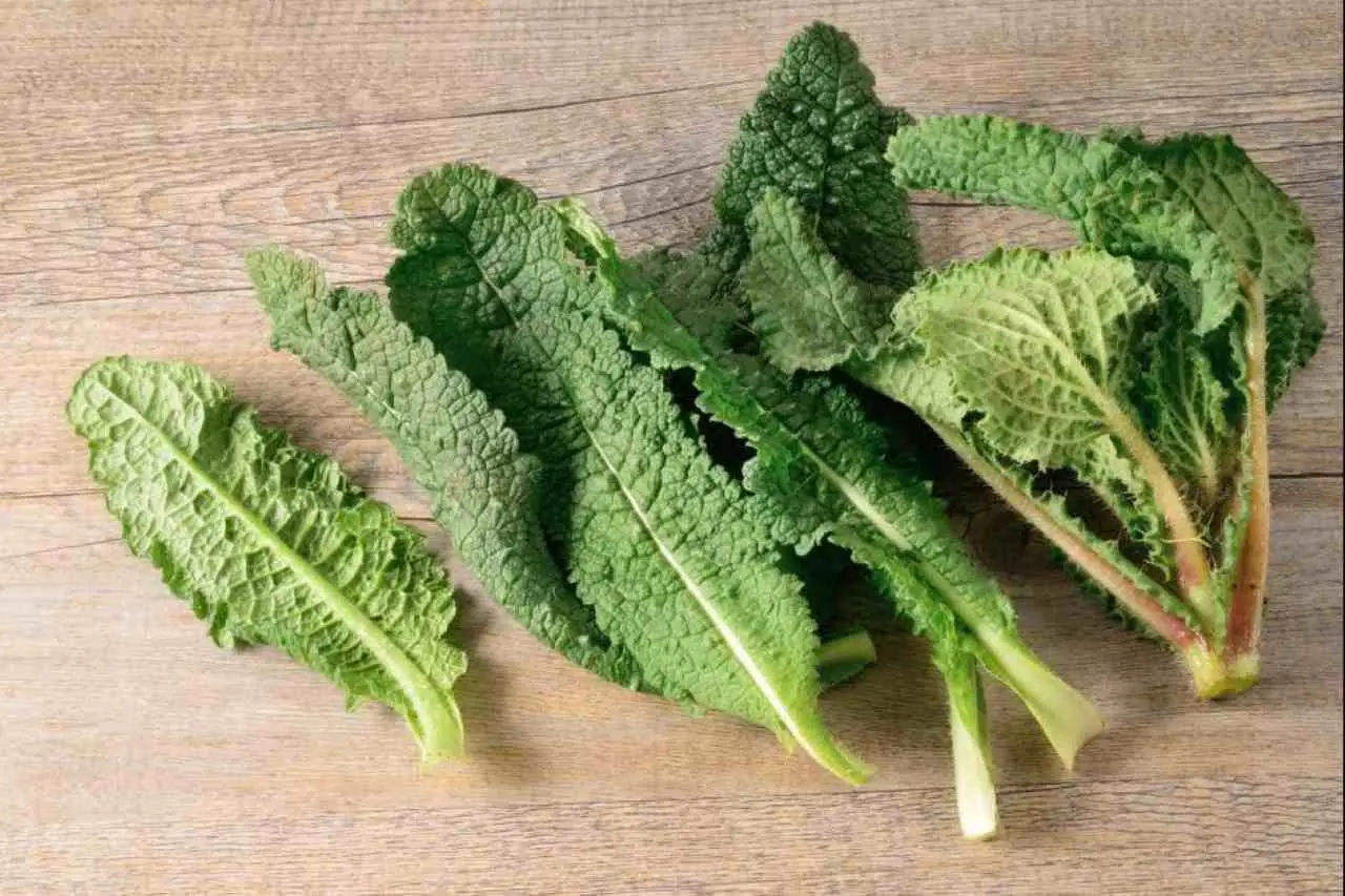 Cime di rapa biologiche: ecco la guida essenziale Immagine selezionata