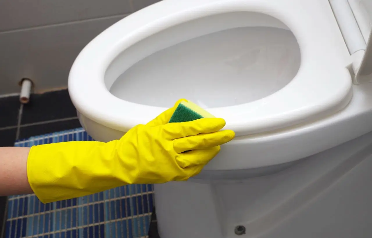 Il segreto della nonna per un bagno splendente: ti bastano pochi minuti e un solo prodotto Immagine selezionata