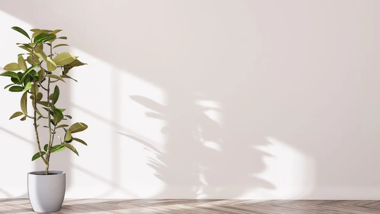 Decorare le pareti di casa: ecco il segreto degli interior designer che cambierà tutto (e non è appendere quadri)