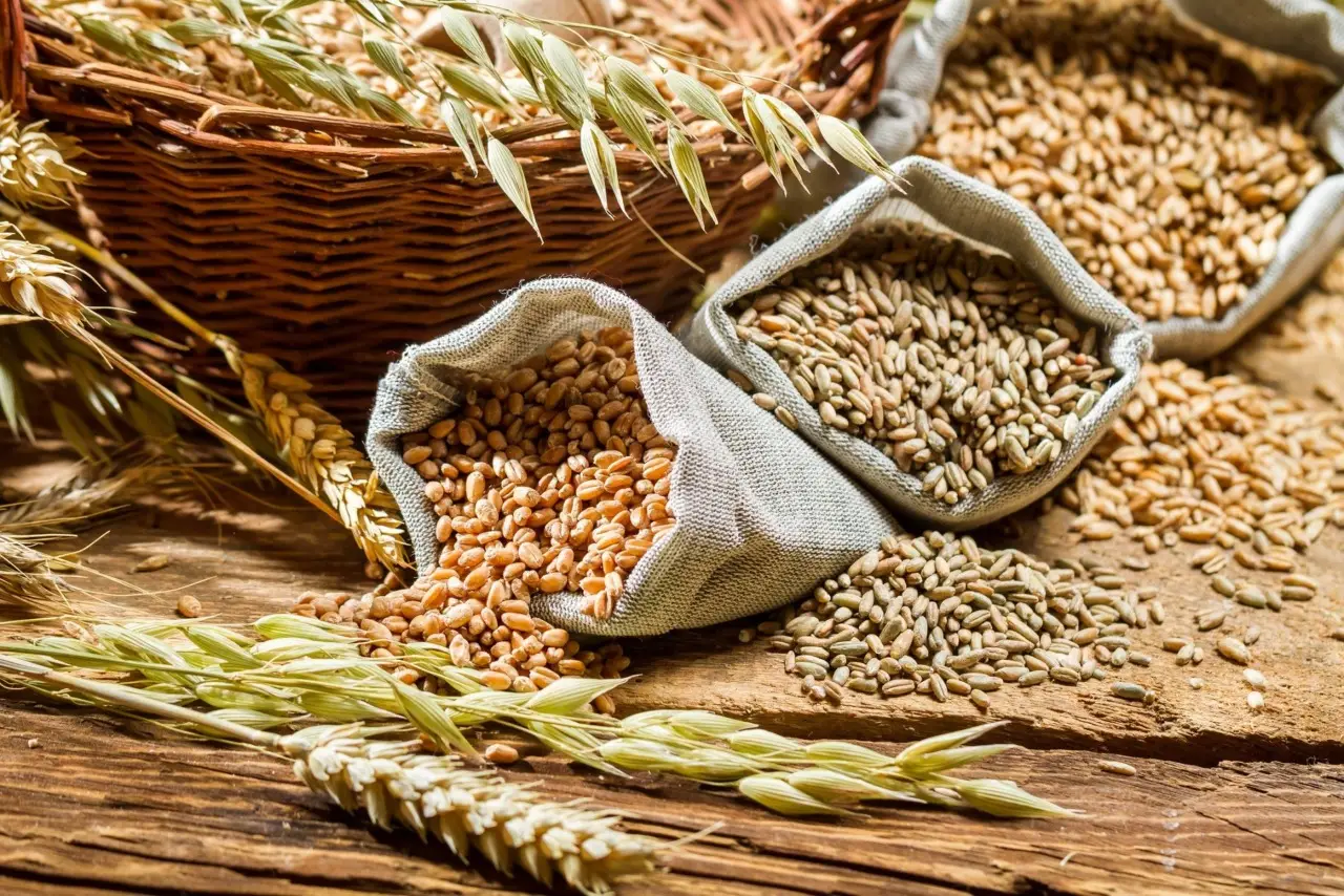 Grano integrale: il segreto per una carica di energia duratura