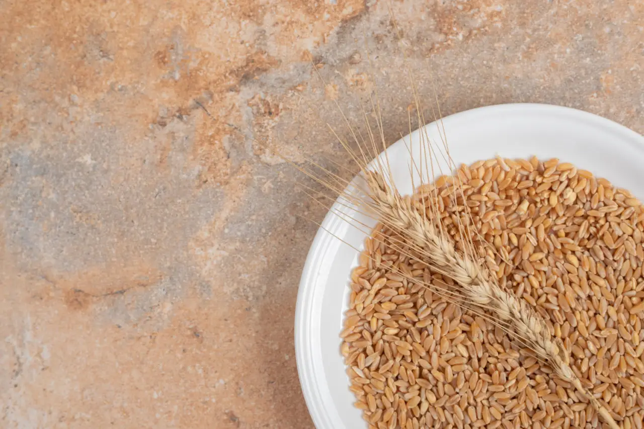 Grano integrale: il segreto per una carica di energia duratura Grano integrale: il segreto per una carica di energia duratura