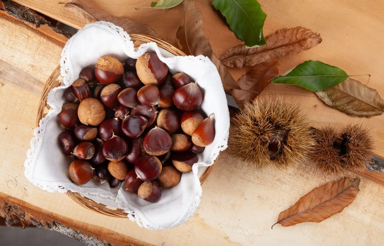 Come mangiare le castagne senza appesantirsi Come mangiare le castagne senza appesantirsi