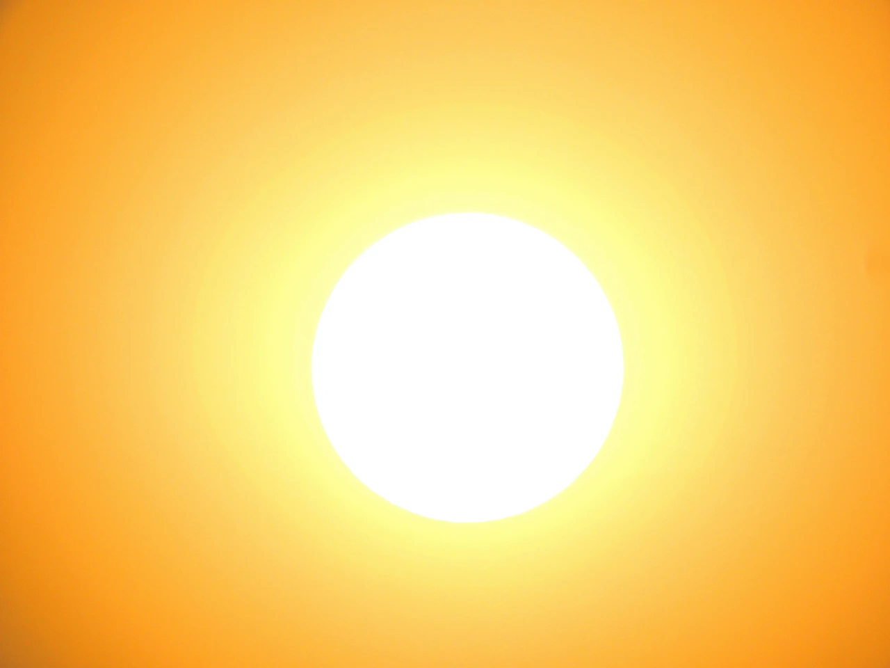 Scopri come proteggere i capelli dal sole in estate: i suggerimenti dell’esperta Scopri come proteggere i capelli dal sole in estate: i suggerimenti dell’esperta