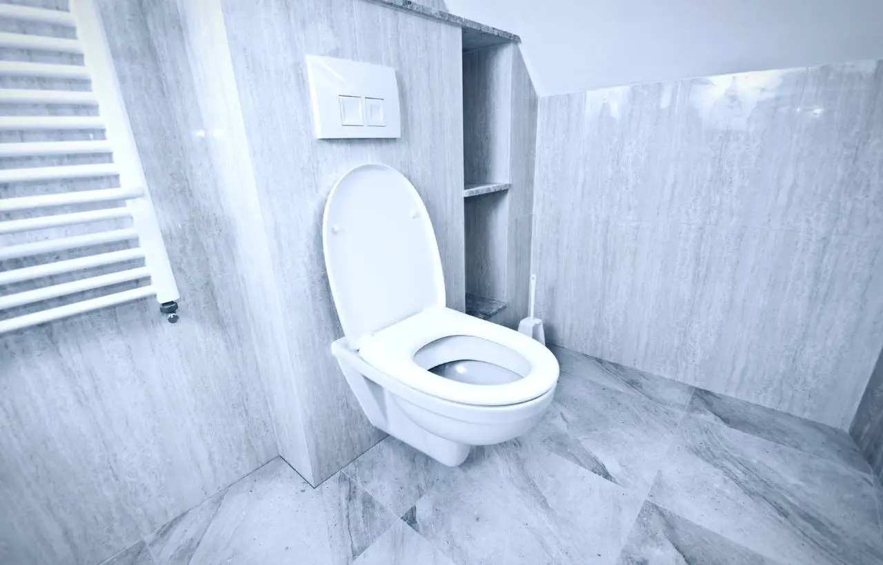 Hai il WC che puzza nonostante la pulizia? Ecco la vera causa Hai il WC che puzza nonostante la pulizia? Ecco la vera causa
