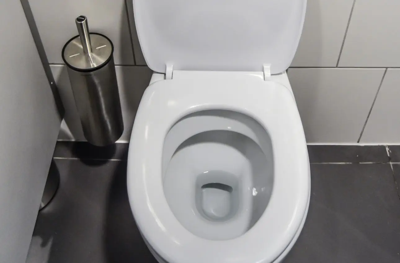 Hai il WC che puzza nonostante la pulizia? Ecco la vera causa Hai il WC che puzza nonostante la pulizia? Ecco la vera causa