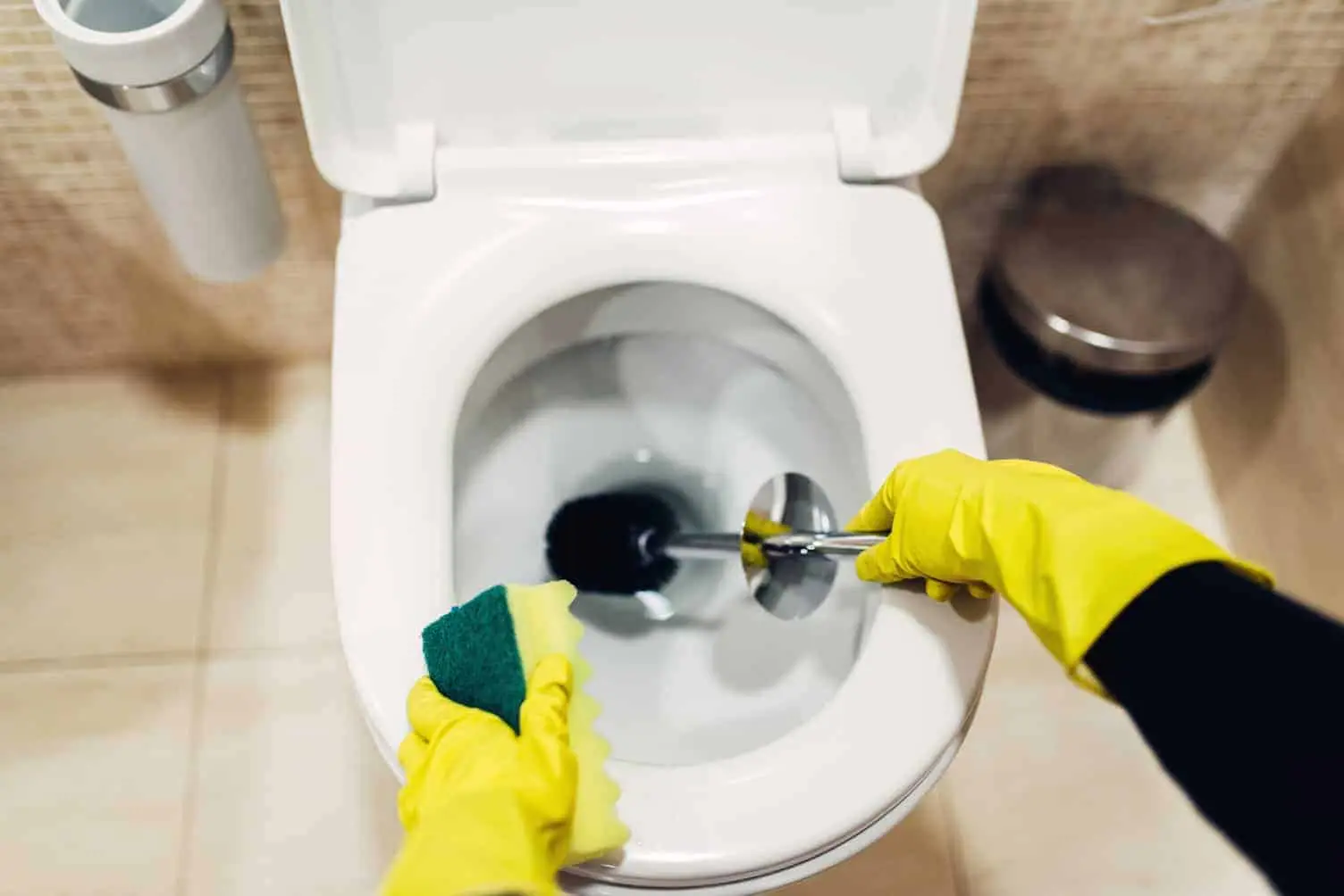 Hai il WC che puzza nonostante la pulizia? Ecco la vera causa Hai il WC che puzza nonostante la pulizia? Ecco la vera causa