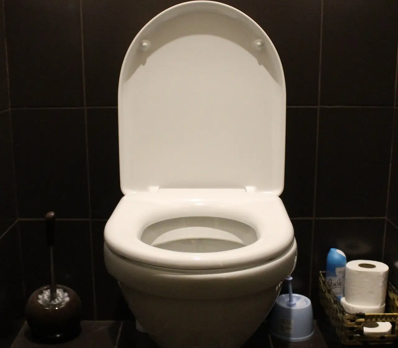 Hai il WC che puzza nonostante la pulizia? Ecco la vera causa Hai il WC che puzza nonostante la pulizia? Ecco la vera causa