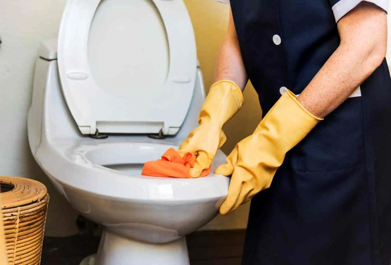 Hai il WC che puzza nonostante la pulizia? Ecco la vera causa Hai il WC che puzza nonostante la pulizia? Ecco la vera causa