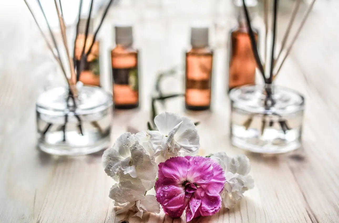 Profumare la casa senza spray chimici: il metodo naturale delle nonne da provare Profumare la casa senza spray chimici: il metodo naturale delle nonne da provare