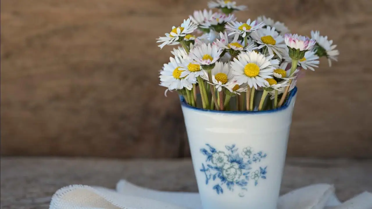 Fiori freschi in cucina: idee e benefici per migliorare l’ambiente quotidiano Fiori freschi in cucina: idee e benefici per migliorare l’ambiente quotidiano