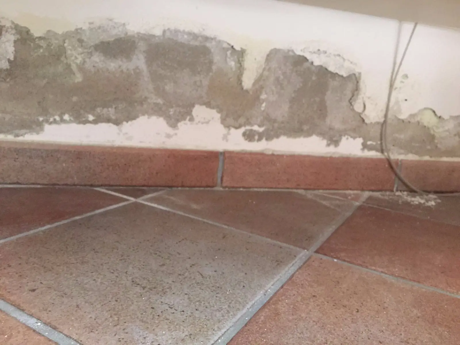 Addio muffa in bagno: come prevenire l’umidità con un semplice passaggio Addio muffa in bagno: come prevenire l’umidità con un semplice passaggio