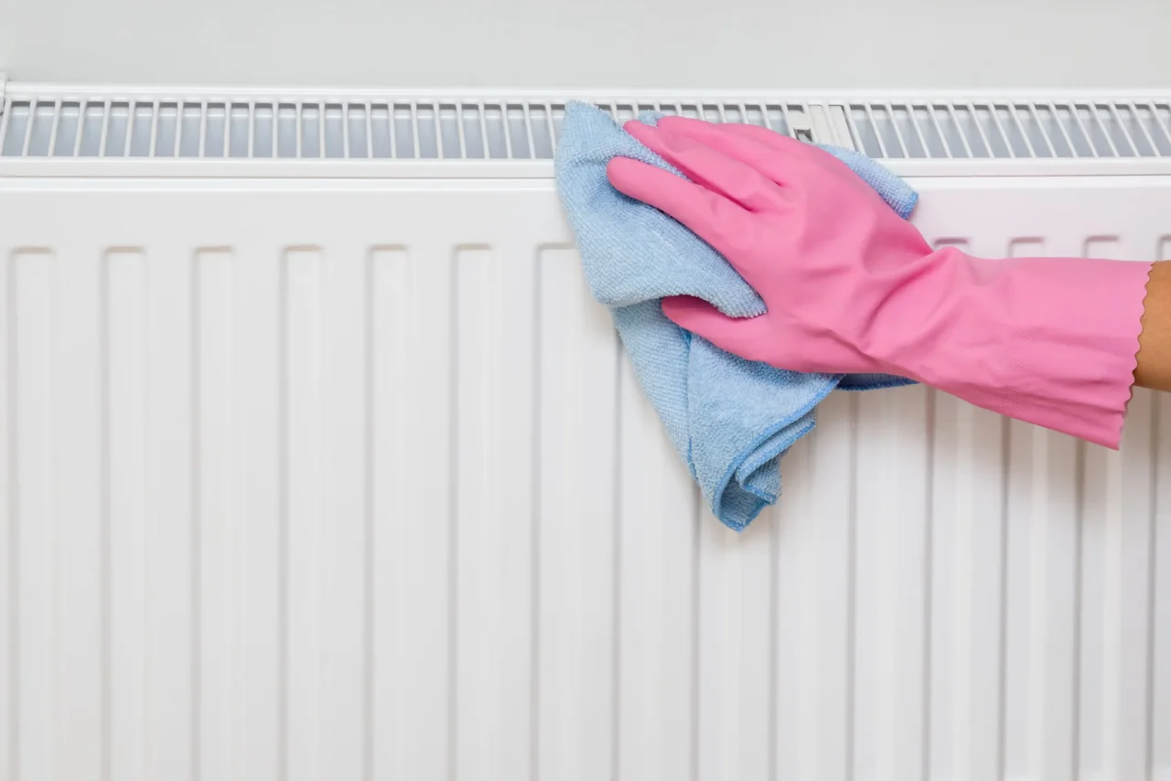 Come eliminare la polvere dai termosifoni prima dell’estate: il trucco dell’allergologo per giugno Come eliminare la polvere dai termosifoni prima dell’estate: il trucco dell’allergologo per giugno