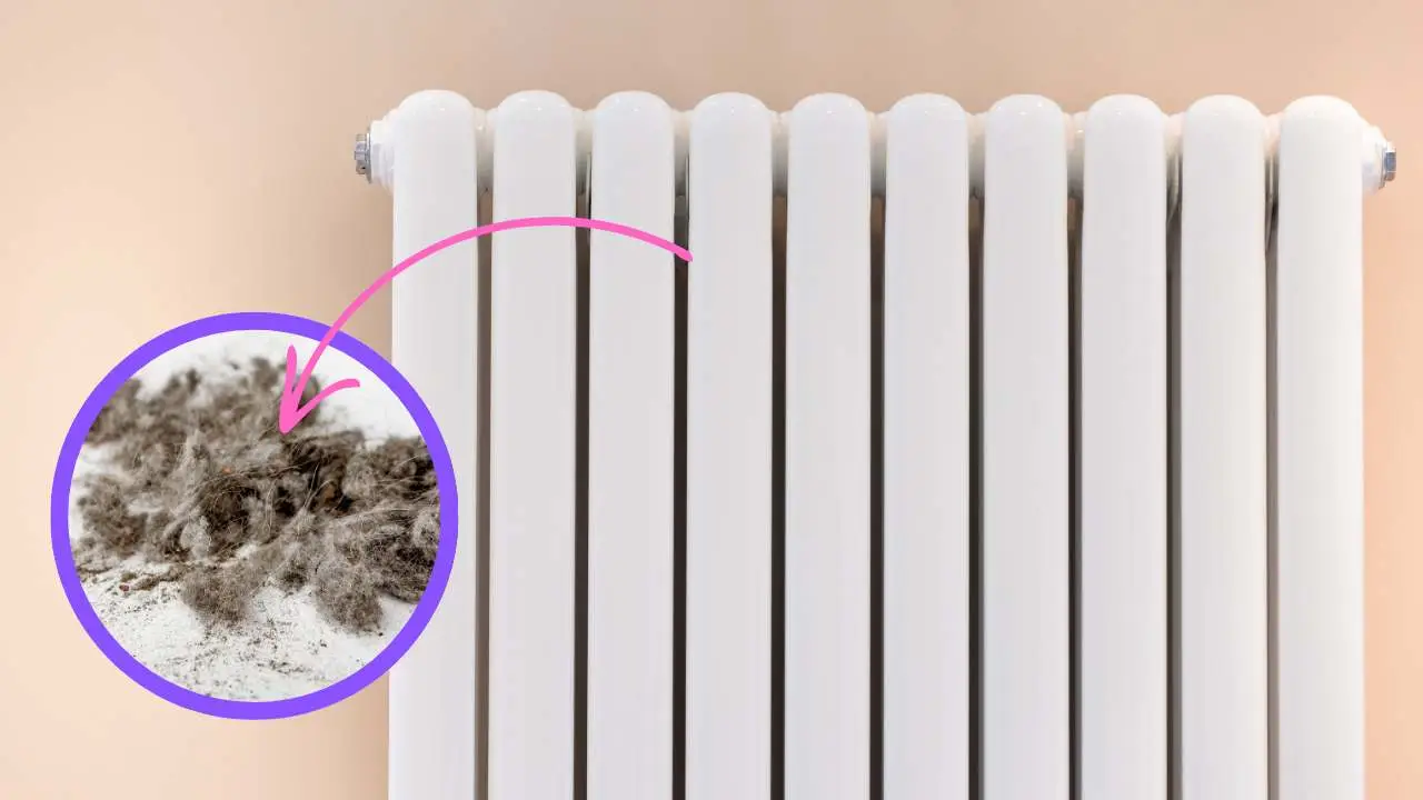 Come eliminare la polvere dai termosifoni prima dell’estate: il trucco dell’allergologo per giugno Come eliminare la polvere dai termosifoni prima dell’estate: il trucco dell’allergologo per giugno