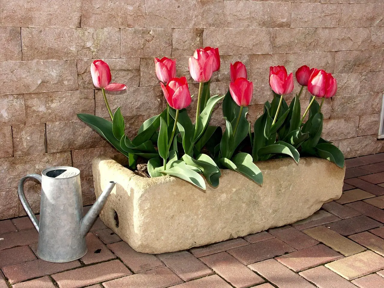 Come mantenere freschi i fiori recisi più a lungo in estate: il trucco del fiorista Come mantenere freschi i fiori recisi più a lungo in estate: il trucco del fiorista