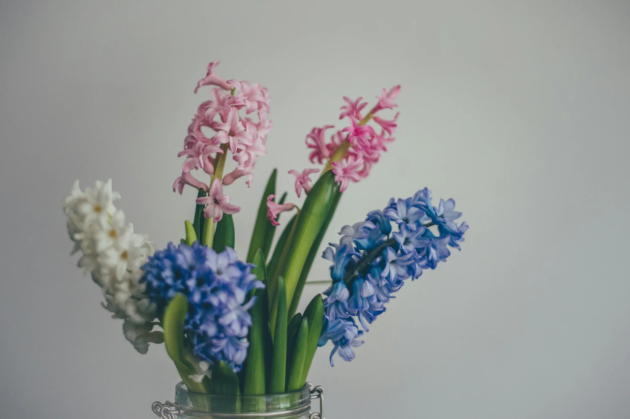 Come mantenere freschi i fiori recisi più a lungo in estate: il trucco del fiorista Come mantenere freschi i fiori recisi più a lungo in estate: il trucco del fiorista