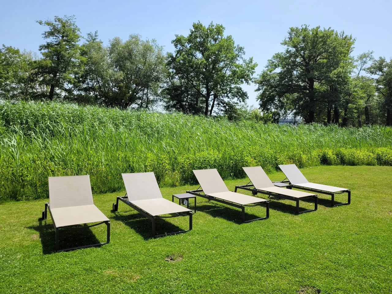 Come scegliere materiali resistenti per gli arredi da esterno: la guida aggiornata per giugno Come scegliere materiali resistenti per gli arredi da esterno: la guida aggiornata per giugno