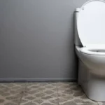 Articoli da leggere