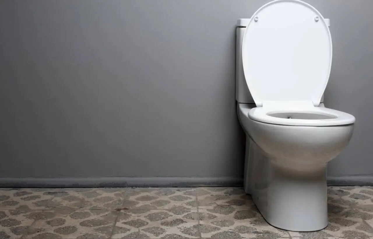 Come eliminare definitivamente l’odore di scarico dal bagno: il trucco dell’igienista ambientale per giugno Come eliminare definitivamente l’odore di scarico dal bagno: il trucco dell’igienista ambientale per giugno