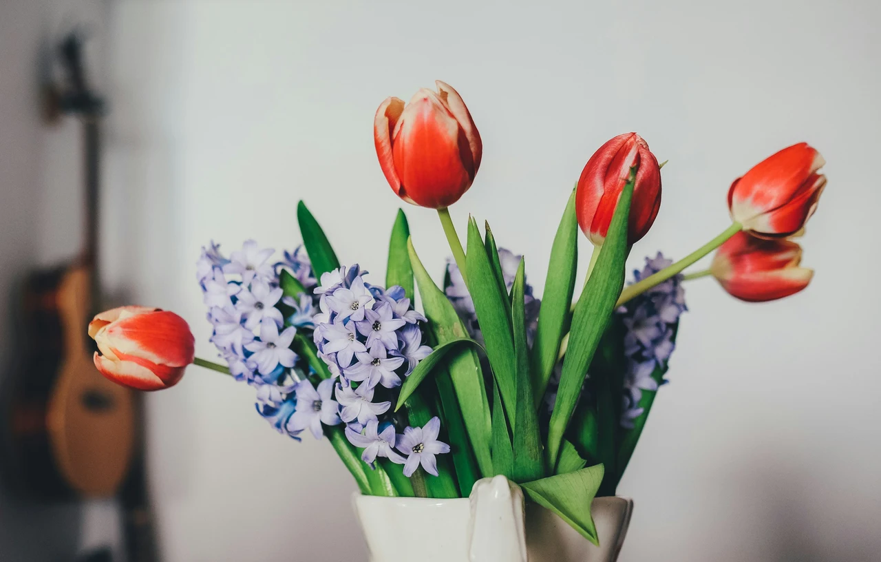 Come mantenere freschi i fiori recisi in estate: il consiglio del fiorista per giugno Come mantenere freschi i fiori recisi in estate: il consiglio del fiorista per giugno