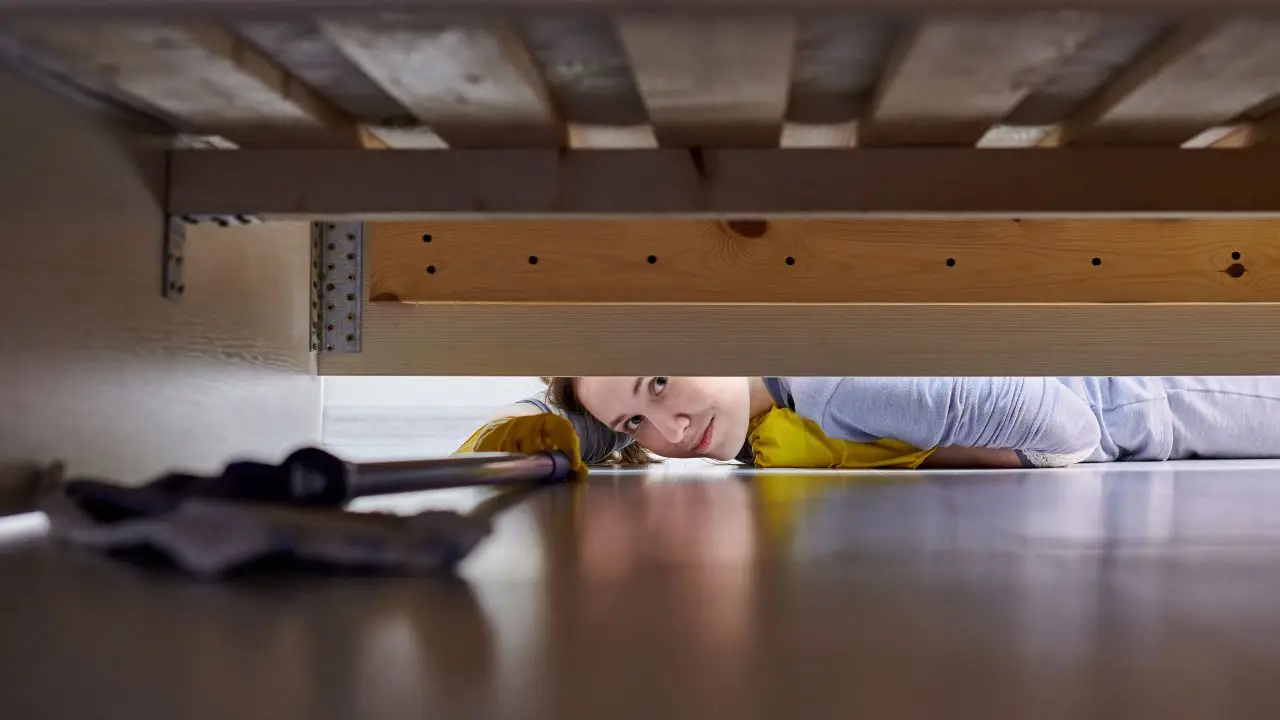 Il segreto per avere un materasso senza acari: il metodo naturale raccomandato dagli allergologi Il segreto per avere un materasso senza acari: il metodo naturale raccomandato dagli allergologi